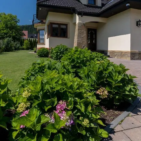 Hortensja Goscinne Krościenko