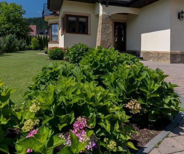 Hortensja Goscinne Кросченко